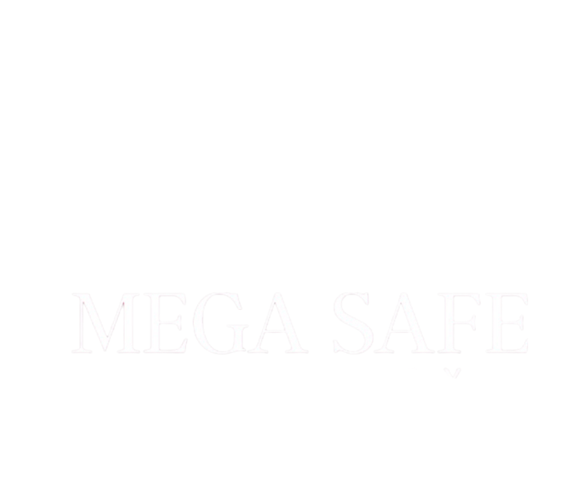 فروشگاه اینترنتی مگاسیف